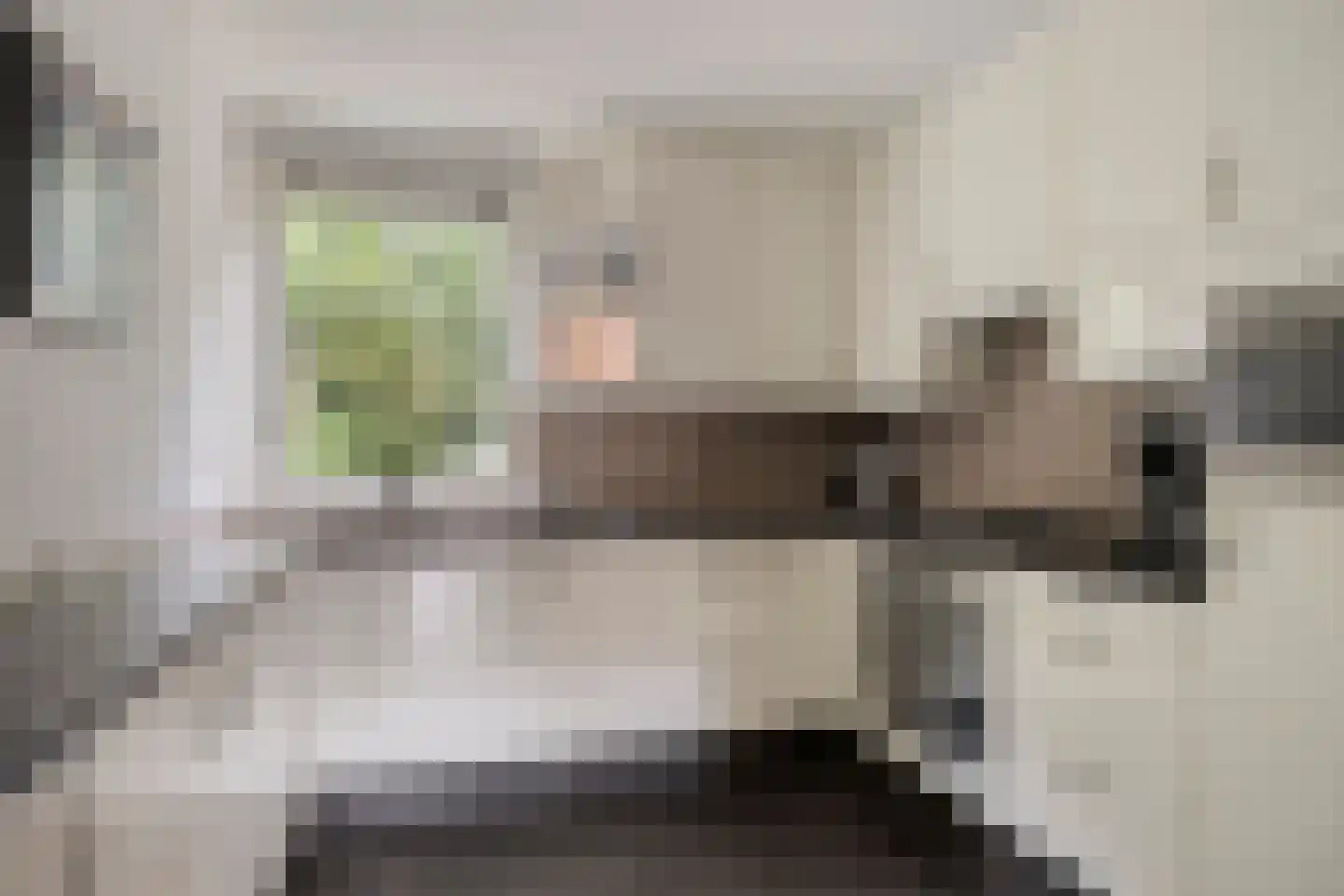 Saltshof 3486 Wijchen thumbnail 17