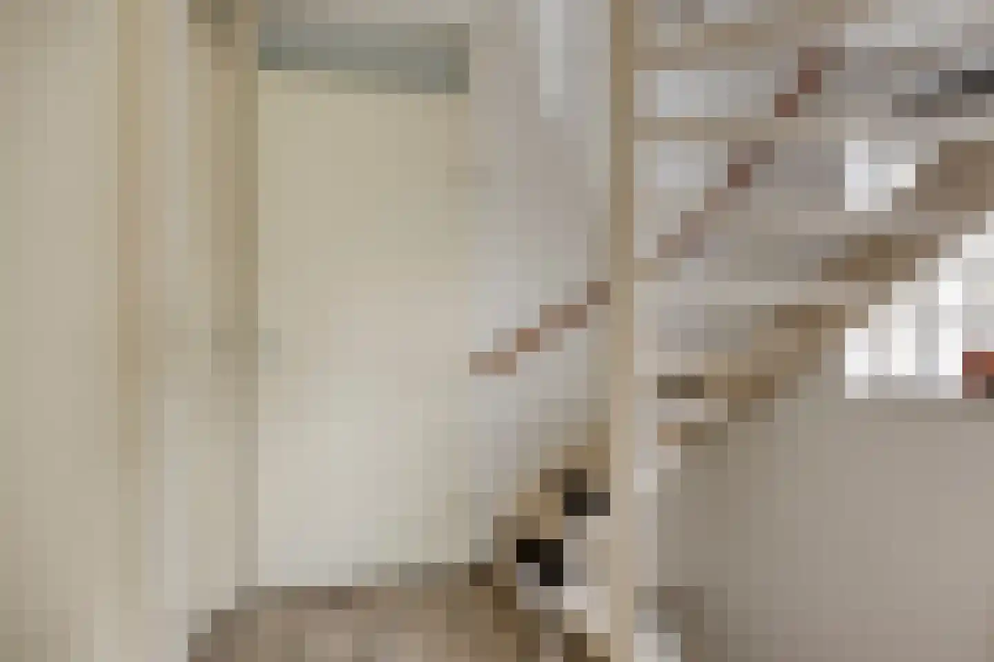 Saltshof 3486 Wijchen thumbnail 32