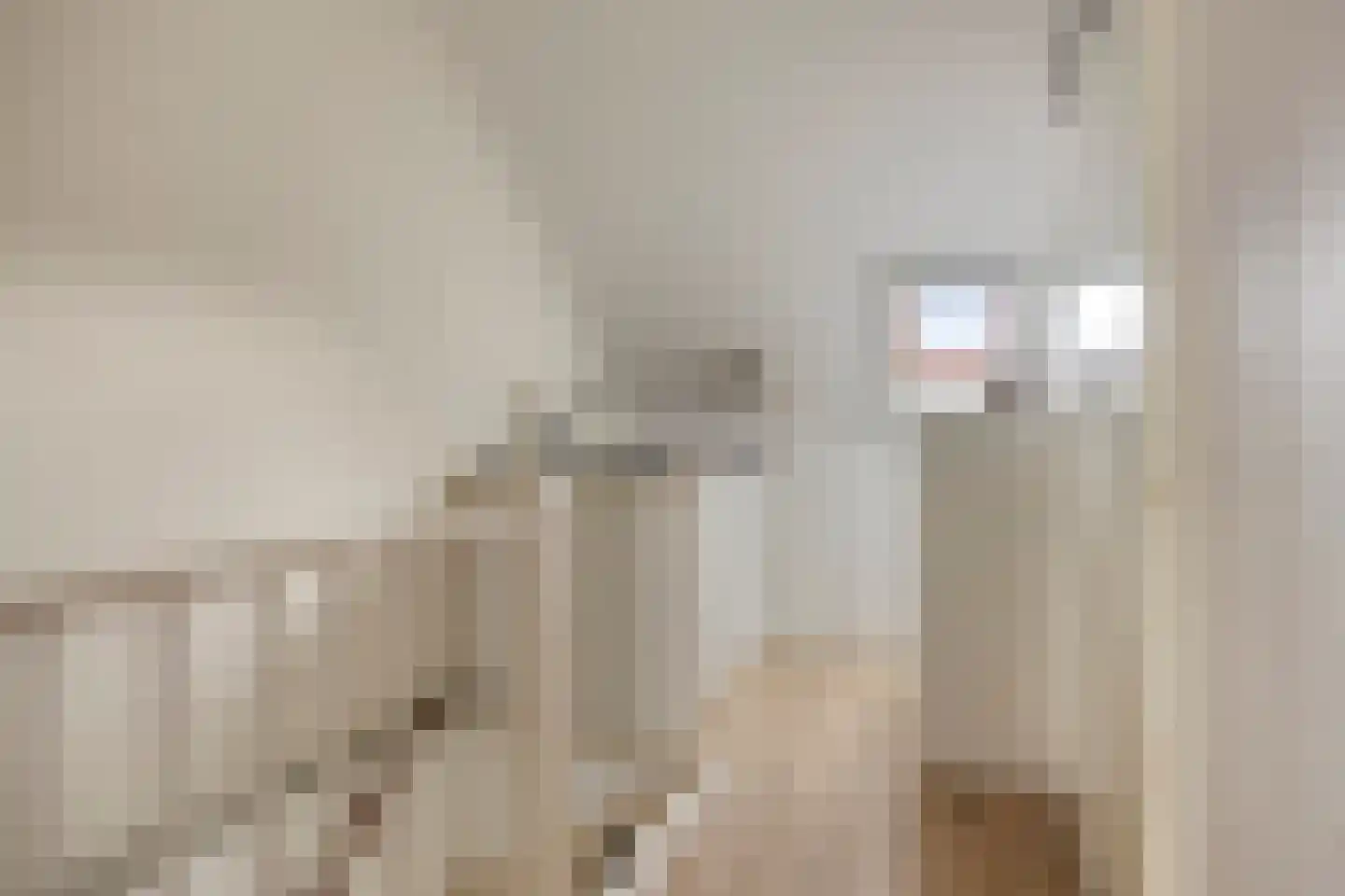Saltshof 3486 Wijchen thumbnail 33