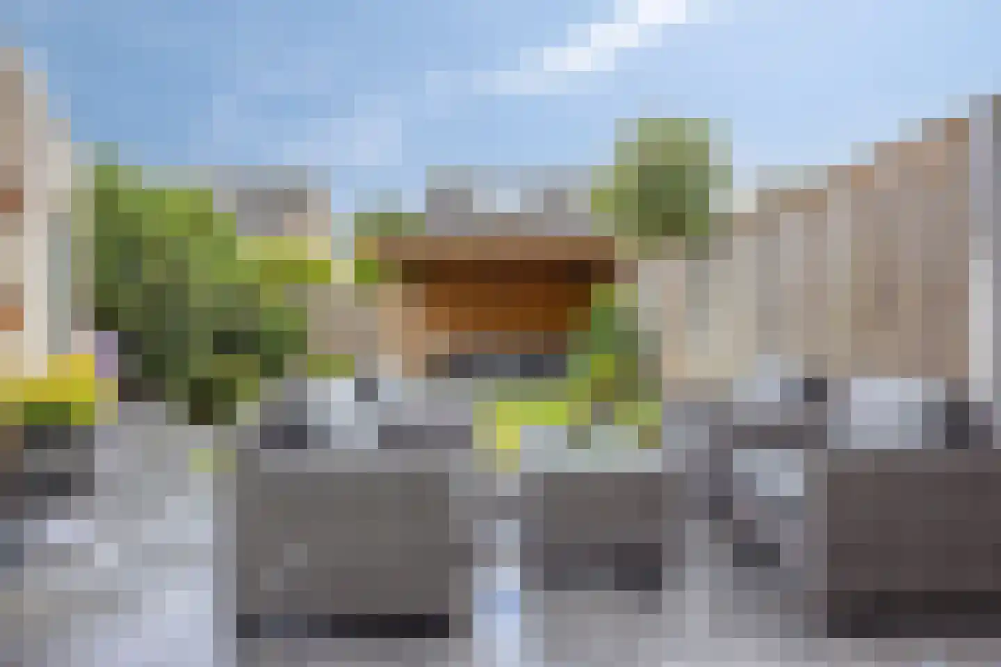 Saltshof 3486 Wijchen thumbnail 4