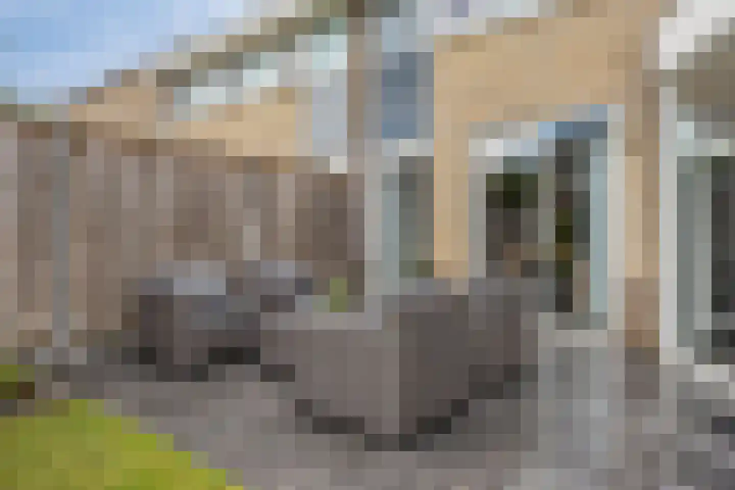 Saltshof 3486 Wijchen thumbnail 42