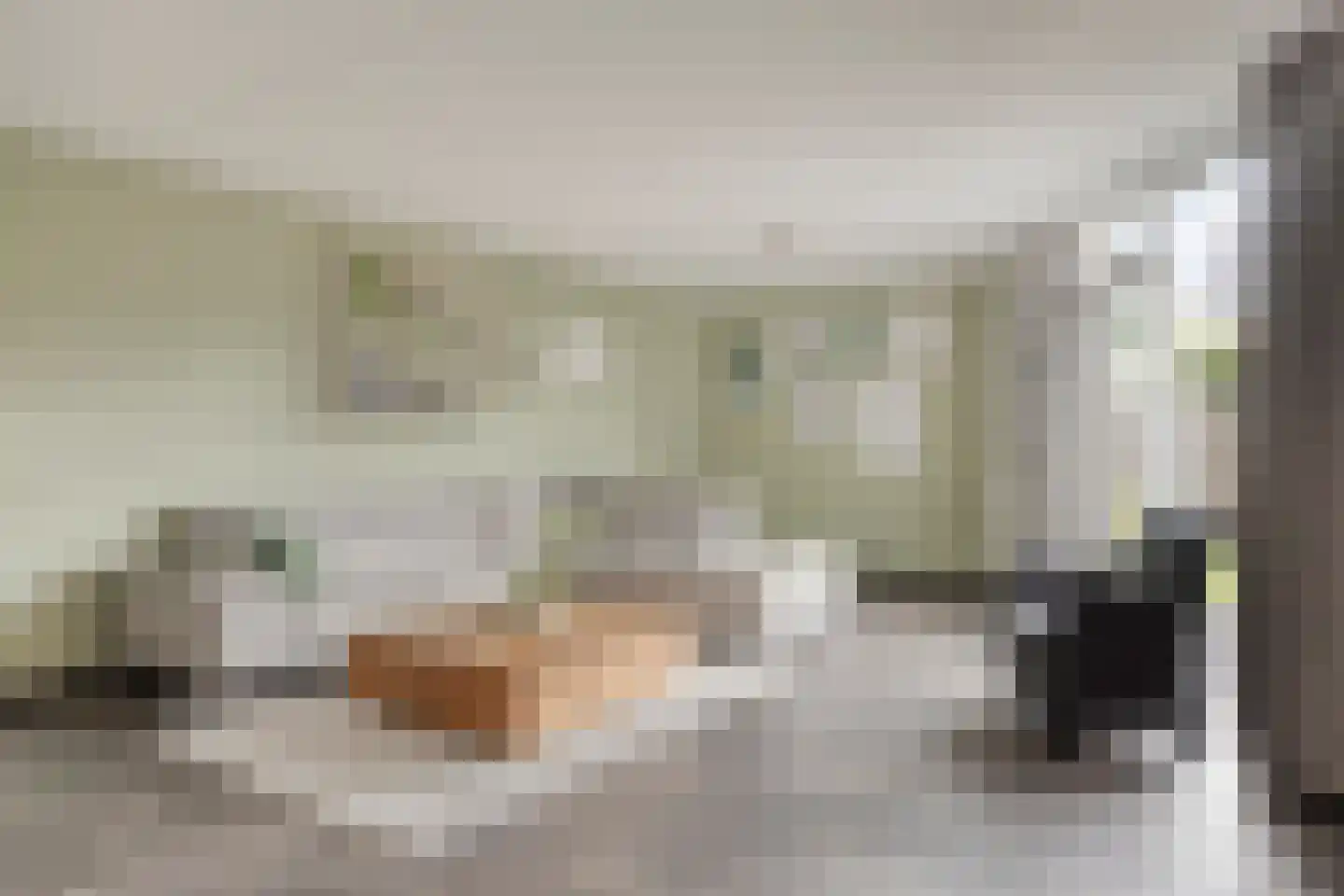 Saltshof 3486 Wijchen thumbnail 6
