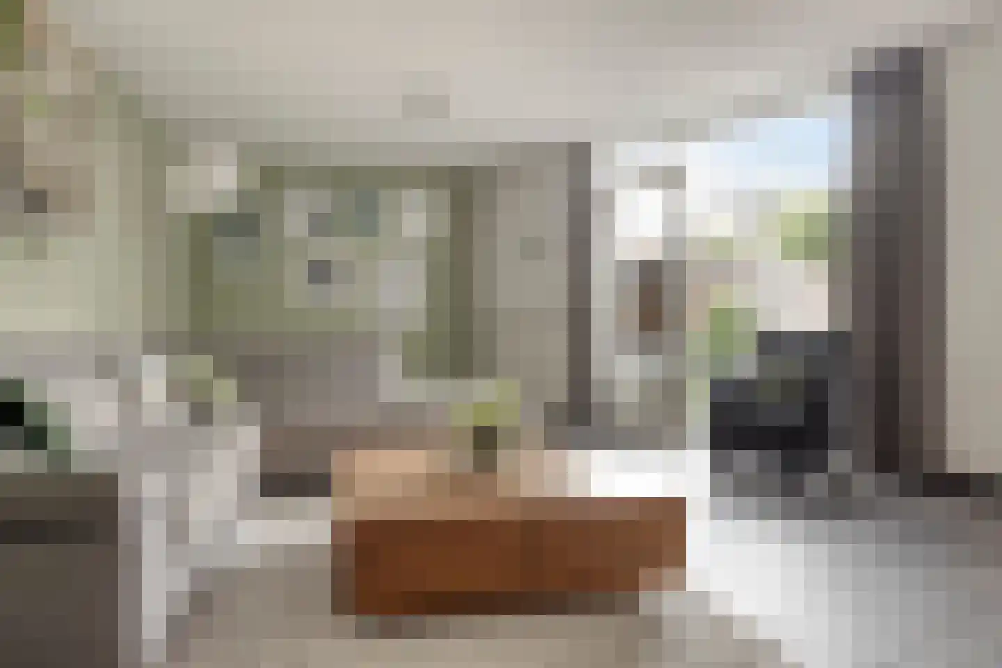 Saltshof 3486 Wijchen thumbnail 7