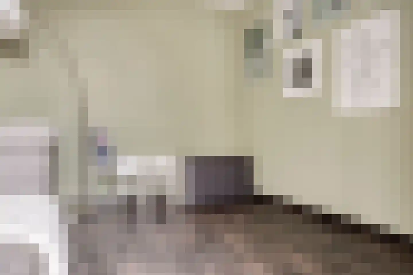 Saltshof 3486 Wijchen thumbnail 8