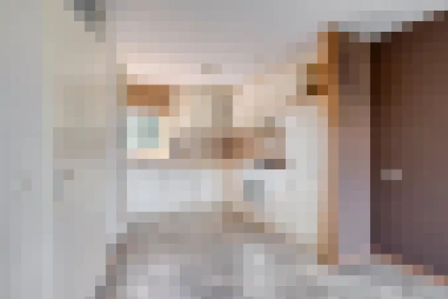 Saltshof 3521 Wijchen thumbnail 8