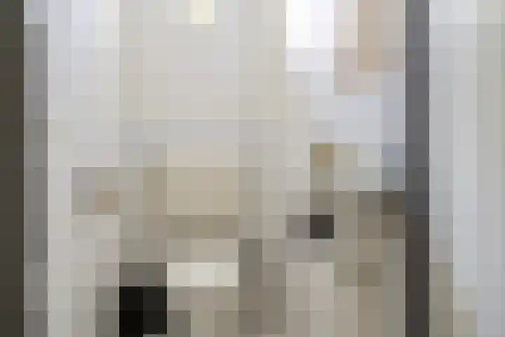Saltshof 3531 Wijchen thumbnail 11