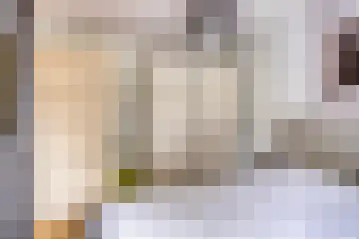 Saltshof 3531 Wijchen thumbnail 14