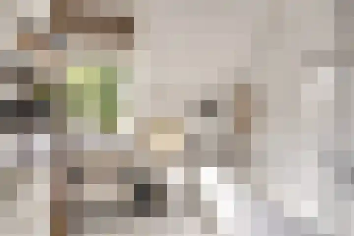 Saltshof 3531 Wijchen thumbnail 18