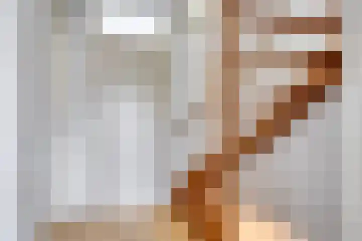 Saltshof 3531 Wijchen thumbnail 20