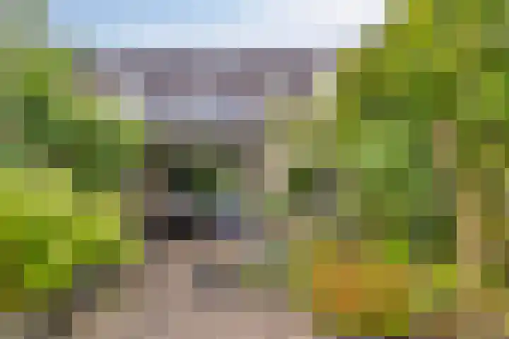 Saltshof 3531 Wijchen thumbnail 23
