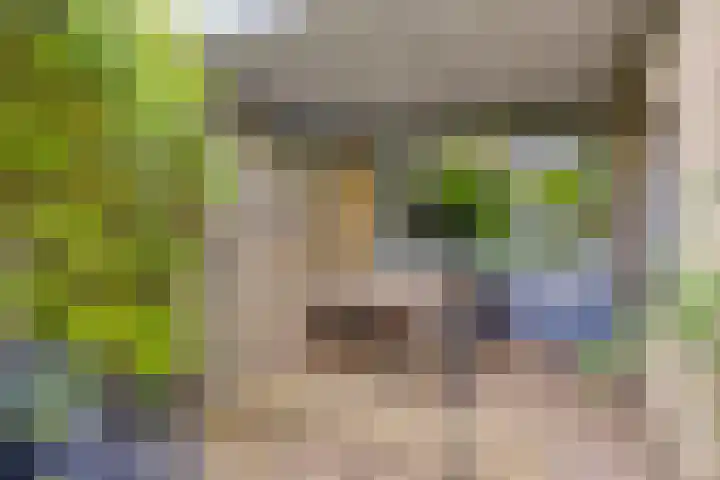 Saltshof 3531 Wijchen thumbnail 24