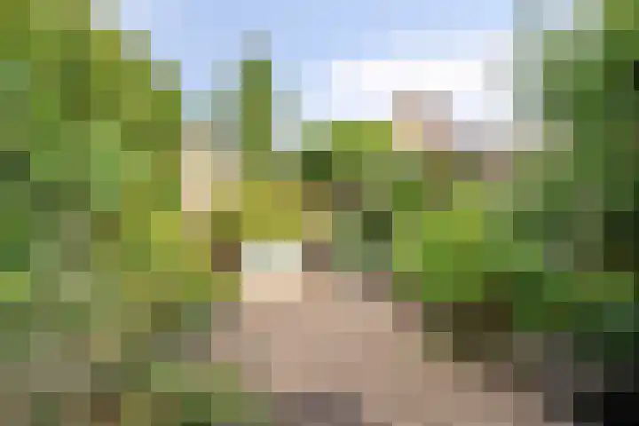 Saltshof 3531 Wijchen thumbnail 25