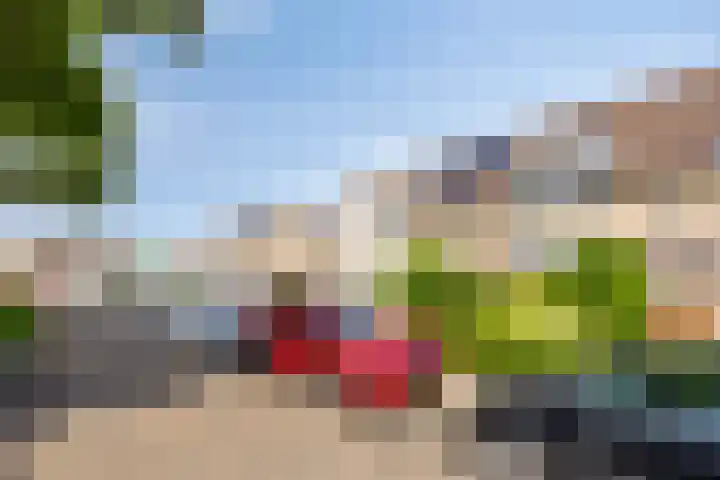 Saltshof 3531 Wijchen thumbnail 27