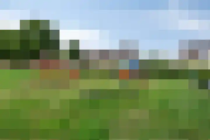 Saltshof 3531 Wijchen thumbnail 28