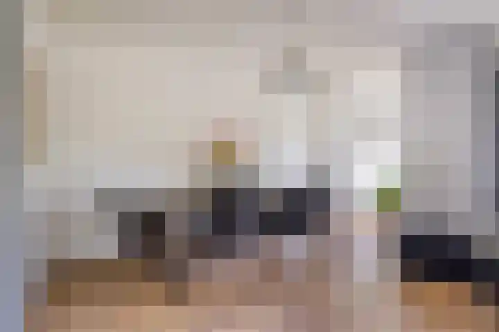 Saltshof 3531 Wijchen thumbnail 4