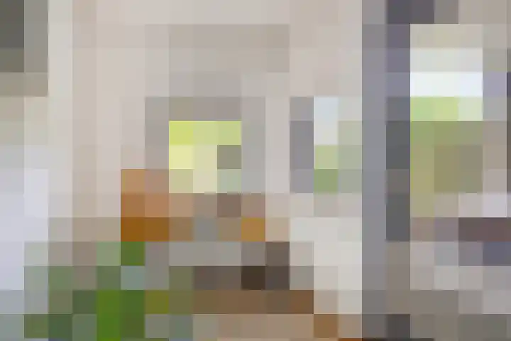 Saltshof 3531 Wijchen thumbnail 5