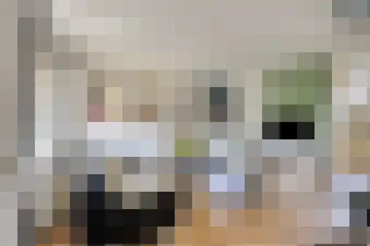 Saltshof 3531 Wijchen thumbnail 6