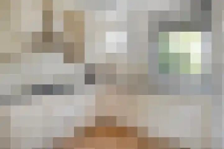 Saltshof 3531 Wijchen thumbnail 7