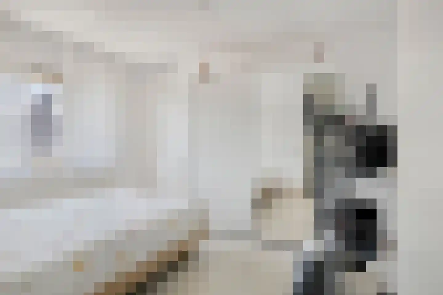 Salvador Allendedomein 1 Maastricht thumbnail 20