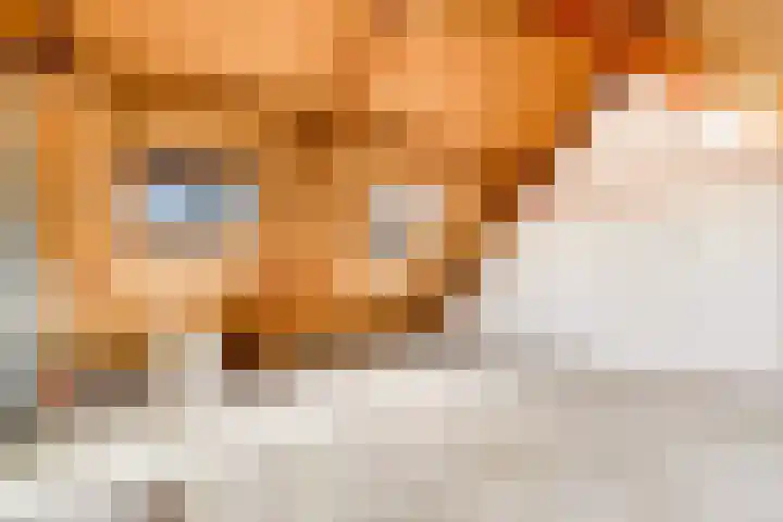 Salvador Allendelaan 29 Beverwijk thumbnail 37