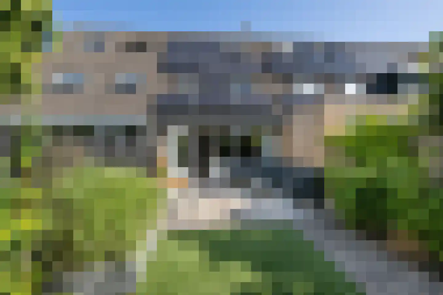 Salvador Allendestraat 26 Haarlem thumbnail 16