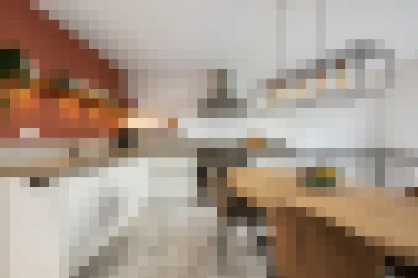 Salvador Allendestraat 32 Rotterdam thumbnail 13