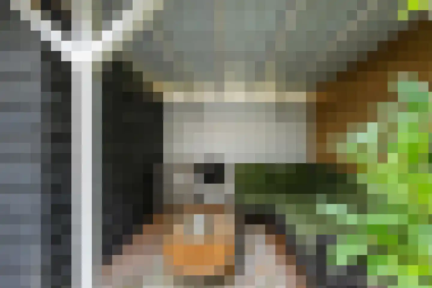 Salvador Allendestraat 32 Rotterdam thumbnail 5