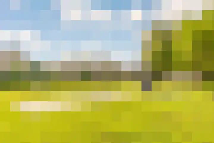 Salvador Daliplantsoen 25 Almere thumbnail 32