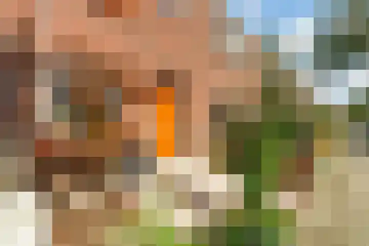 Salvador Daliplantsoen 25 Almere thumbnail 4