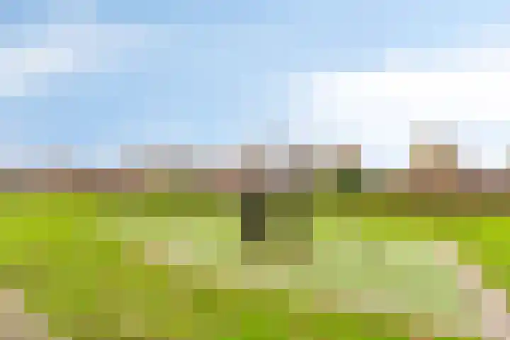 Salvador Daliplantsoen 27 Almere thumbnail 39