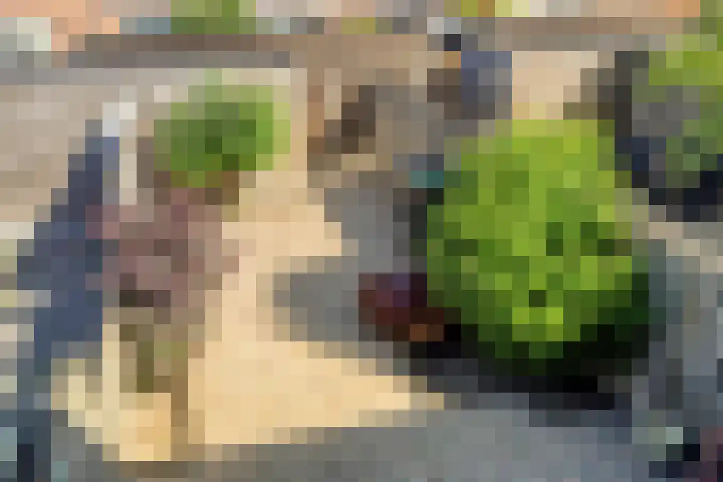 Salvador Daliplantsoen 65 Almere thumbnail 31
