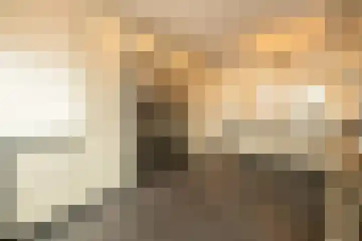 Salvatorhof 3 Noordwijkerhout thumbnail 10
