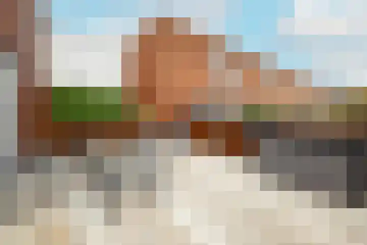 Salvatorhof 3 Noordwijkerhout thumbnail 12