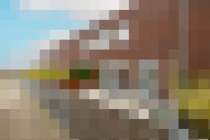 Salvatorhof 3 Noordwijkerhout thumbnail 15