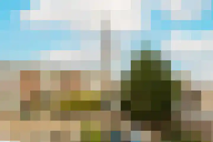 Salvatorhof 3 Noordwijkerhout thumbnail 16