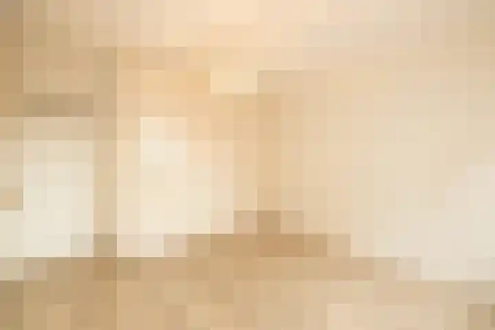 Salvatorhof 3 Noordwijkerhout thumbnail 22