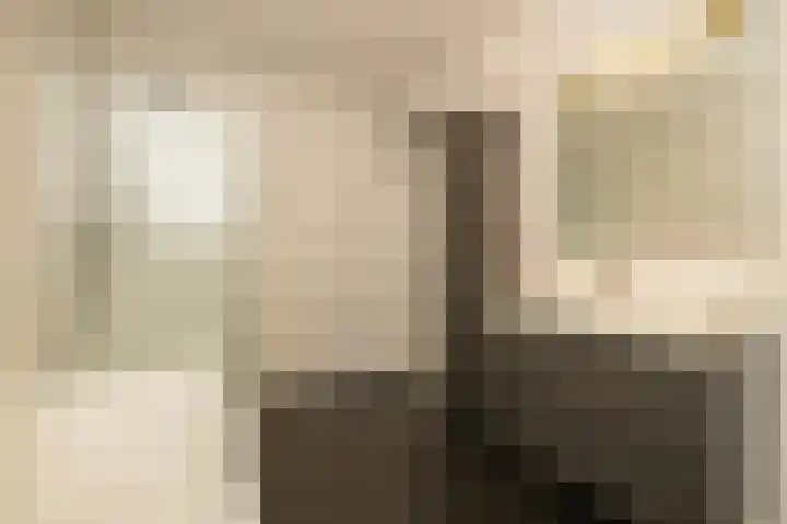 Salvatorhof 3 Noordwijkerhout thumbnail 24