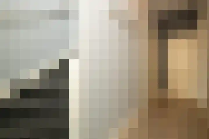 Salvatorhof 3 Noordwijkerhout thumbnail 28