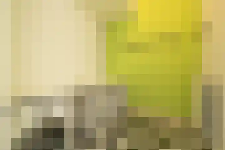 Salvatorhof 3 Noordwijkerhout thumbnail 29
