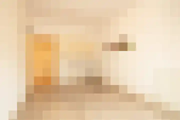 Salvatorhof 3 Noordwijkerhout thumbnail 30