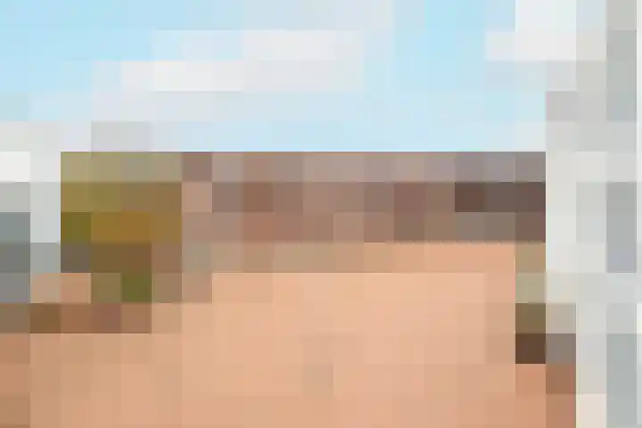 Salvatorhof 3 Noordwijkerhout thumbnail 32