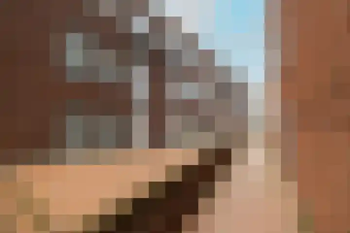 Salvatorhof 3 Noordwijkerhout thumbnail 34