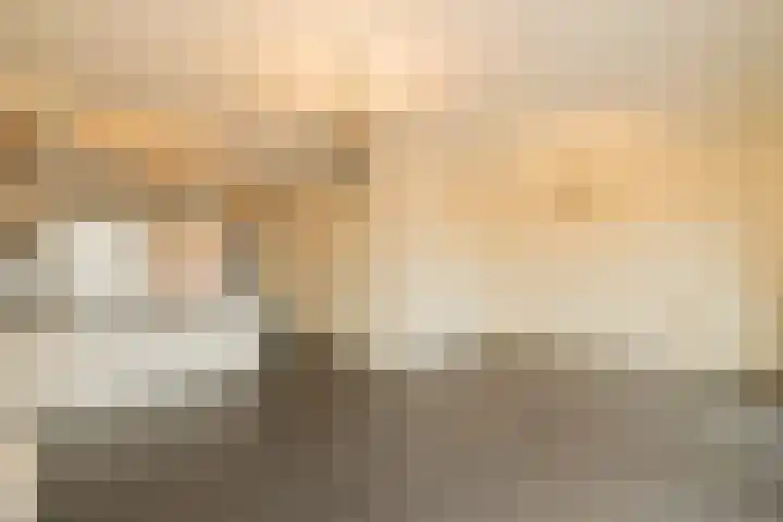 Salvatorhof 3 Noordwijkerhout thumbnail 5