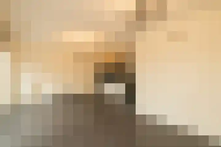 Salvatorhof 3 Noordwijkerhout thumbnail 6
