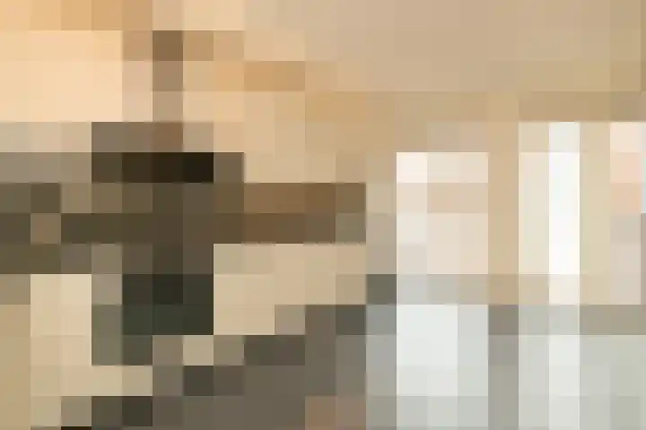 Salvatorhof 3 Noordwijkerhout thumbnail 8