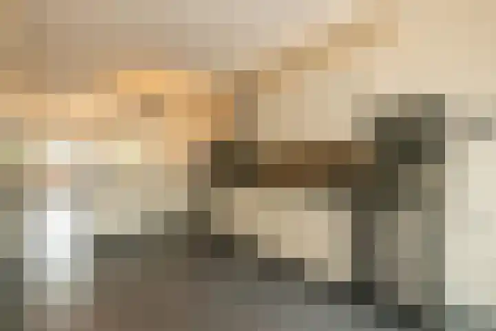 Salvatorhof 3 Noordwijkerhout thumbnail 9