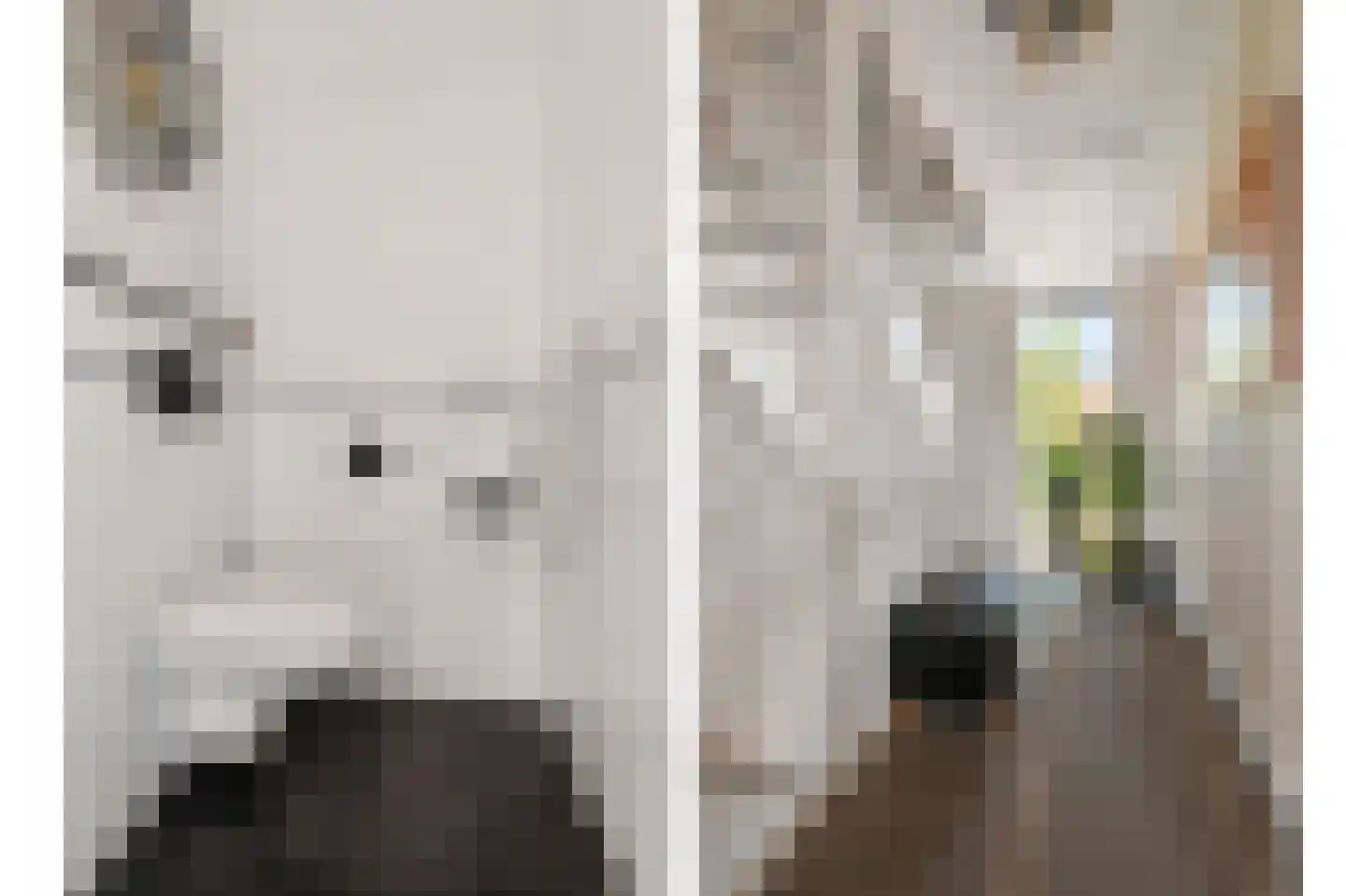 Salvatorhof 9 Noordwijkerhout thumbnail 8