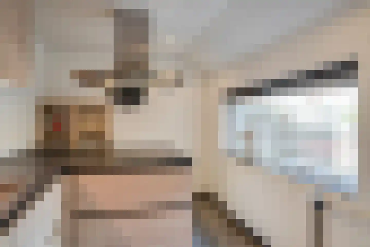 Salvatorstraat 20 Susteren thumbnail 14