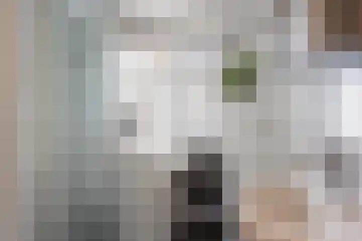 Salvatorstraat 36 Susteren thumbnail 23