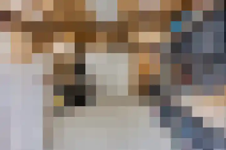 Salvatorstraat 36 Susteren thumbnail 30